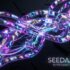 Perplexity Computer Review (2026): The Autonomous Multi-Model Digital Worker Evaluated